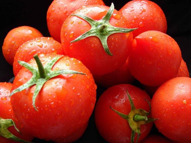 Pomidor ixracı artırılıb<b style="color:red"></b>