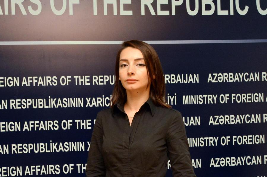 Leyla Abdullayeva: "Ermənistan rəhbərliyinin məntiqini anlamaq çətindir"<b style="color:red"></b>