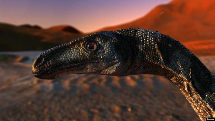 90 milyon il öncə yaşayan dinozavrın qalıqları aşkar edildi<b style="color:red"></b>