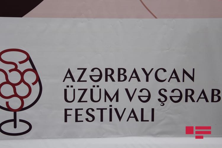 Üzüm və Şərab Festivalı başladı<b style="color:red"></b>