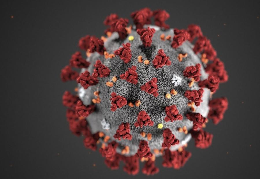 Dünya Səhiyyə Təşkilatı COVID-19 koronavirusuna yeni yoluxma formasından narahatdır<b style="color:red"></b>