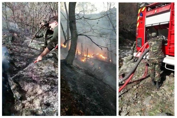 Ermənistanın atəşləri nəticəsində meşələrdə və mülki obyektlərdə yanğınlar baş verib<b style="color:red"></b>