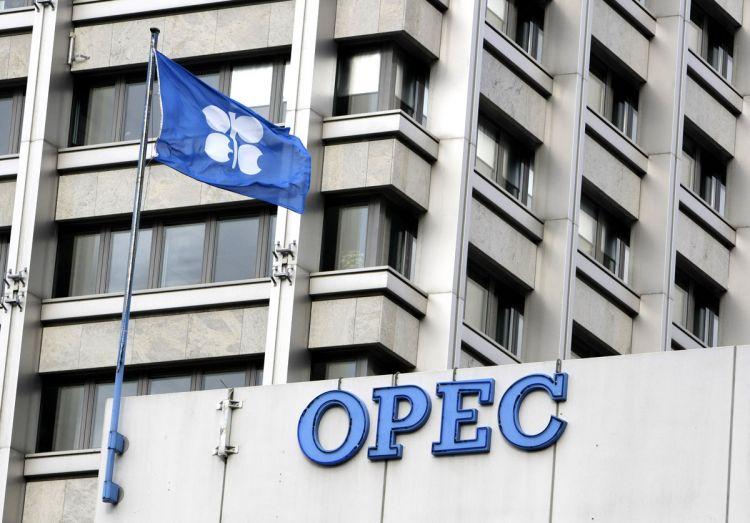 OPEC Azərbaycanın təşkilata üzvlüyə qəbuluna baxmağa hazırdır