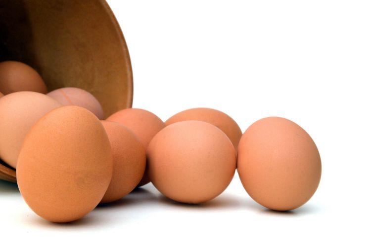Yumurta istehsalının artımına nə mane olur?