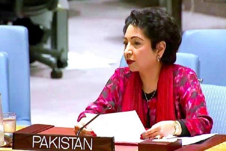 Pakistanlı diplomat: "Kəşmir probleminin sülh yolu ilə həllinə hazırıq"