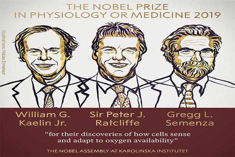 Fiziologiya və tibb üzrə Nobel mükafatının qalibləri açıqlanıb