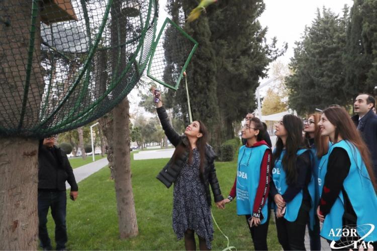Leyla Əliyevanın iştirakı ilə Atatürk prospektindəki parka 10 tutuquşu buraxıldı