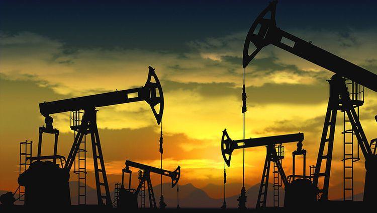 EIA: OPEC və OPEC+ olkələri neft hasilatını gələn ilin sonunadək məhdudlaşdıra bilər