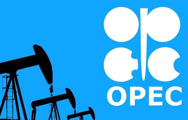 Azərbaycan "OPEC+" nazirlərinin iclasında iştirak edəcək