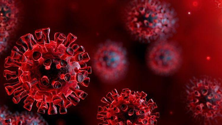 Koronavirus infeksiyalarını bloklayan süni virus yaradıldı