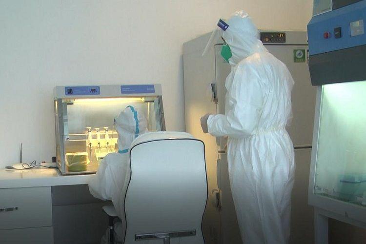 Daha 4006 nəfər koronavirus testindən keçdi