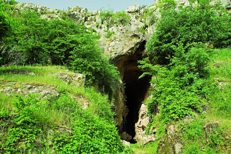 Azıx mağarasına aid arxeoloji tapıntılar Bakıya gətirildi