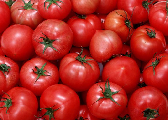 Rusiya Azərbaycanın 13 şirkətinə pomidor və alma ixracına icazə verdi