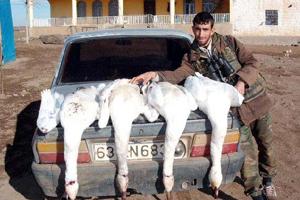 "Facebook" qanunsuz ovçuları ifşa etdi (FOTO)