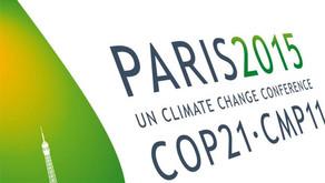 ​Parisdə "İqlim dəyişikliyi" konfransı başlayıb