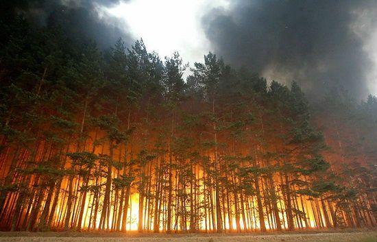 Rusiyada meşə yanğınları davam edir