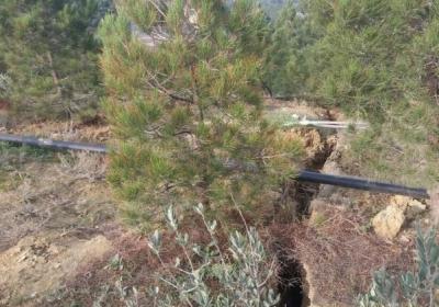 Sürüşmələr aktivləşib, yeni uçqun-sürüşmə sahələri yaranıb