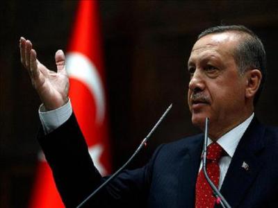 Ərdoğana 7 ölkədən dəstək gəldi