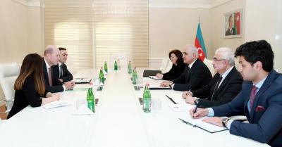 Şahin Mustafayev BP-nin regional prezidenti Qari Counsla görüşdü