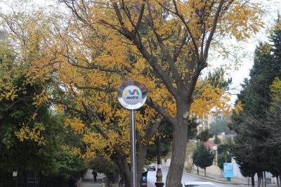 "Bakı metropoliteni": "Bu gün qatarların hərəkəti bərpa edilməyəcək"
