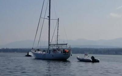 Kanadada balina yaxtanı  gəmi ilə toqquşdurdu - Video