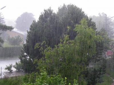 Avqust yağışlı keçəcək