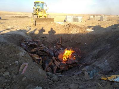 Mənşəyi məlum olmayan 2,5 ton ət məhv edildi