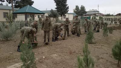 Ümumordu iməciliyi keçirildi