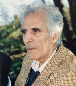 Məmməd Araz poeziyasında təbiət mövzusu və ekoloji dünyagörüş