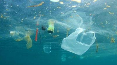 2050-ci ildə okeanda plastik tullantılar balıqdan çox olacaq