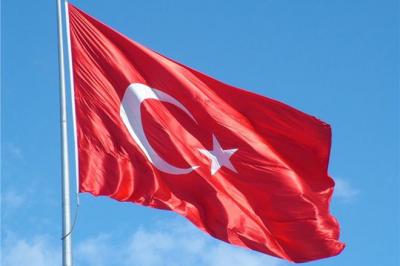 Türkiyə hökuməti: "Fransanın "erməni soyqırımı" ilə bağlı bəyanatları məsuliyyətsizlikdir"