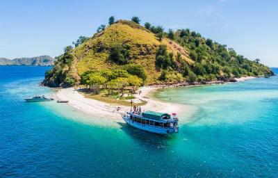 İndoneziya Komodo adasını turistlər üçün bağlayacaq
