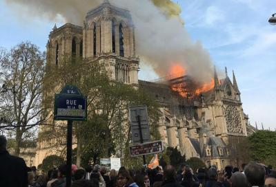 Başın sağ olsun, Paris... 