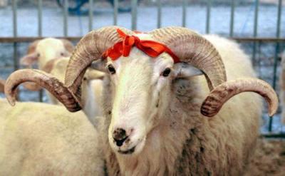 Qurban bayramı nə vaxt qeyd ediləcək?