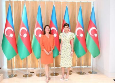 Mehriban Əliyeva Fransanın Arktika və Antarktika məsələləri üzrə beynəlxalq danışıqlara məsul səfiri ilə görüşüb