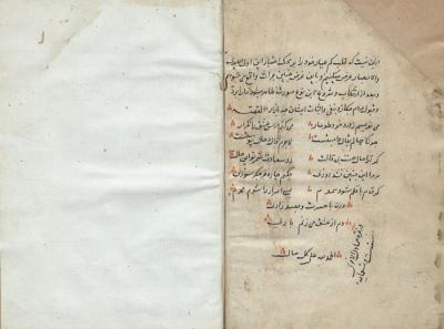 Nemətullah Naxçıvani irsinin tədqiqində maraqlı yenilik