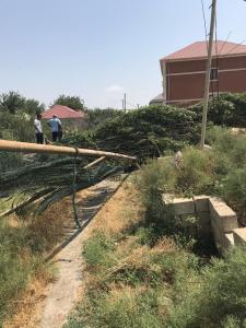 Güclü külək ağacı qaz xəttinin üzərinə aşırdı