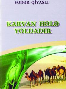 Əjdər Qiyaslının ömür və söz karvanı - Mina Rəşid 