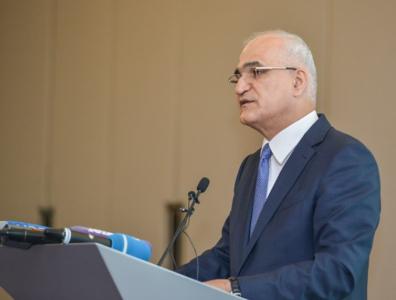 Nazir: "Qeyri-neft sektorunda artım ürəkaçan deyil"