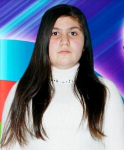 Səssiz alqışlar - Hekayə 