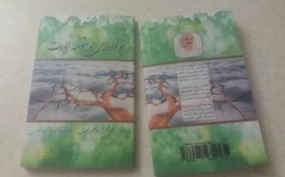 Nəcib şairin şeirləri - Esse