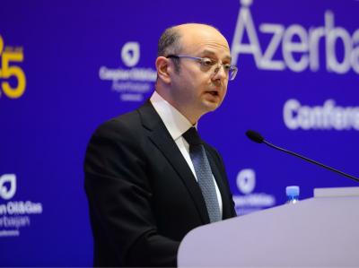 "Azərbaycanın öhdəliklərinin tam şəkildə icrası üçün bütün imkanlar səfərbər edilib"