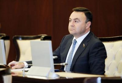 Elnur Allahverdiyev: "Gömrüklə bağlı qəbul edilən dəyişiklik çox ciddi yanlışlıqdır"
