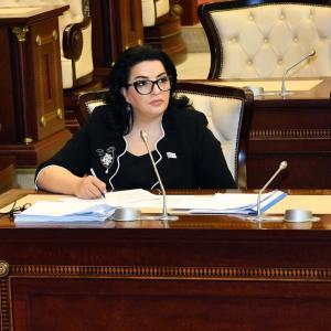 “Xaricdə yaşayan soydaşlarımız ölkəmizin iqtisadiyyatına sərmayə qoymaqdan çəkinməməlidirlər”