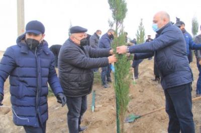 Gəncəlilər Vətən müharibəsi şəhidlərinin xatirəsinə 2783 ağac əkdilər