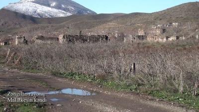 Zəngilanın Malatkeşin kəndi - Video