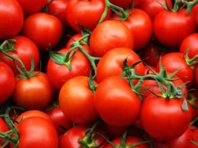 Pomidor ixracı problemi - Münasibət