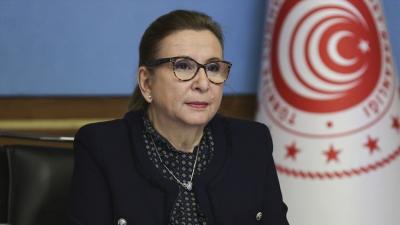 Türkiyəli nazir: “Naxçıvan dəhlizi bizim üçün çox əhəmiyyətlidir”