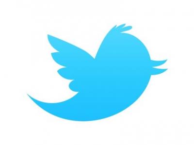 "Türkiyə məhkəməsinin Twitter-ə qoyulan qadağanın ləğvinə dair qərarı yanlışdır"