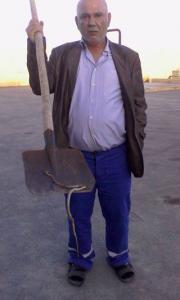 Bakıda zəhərli ilanlar peyda olub